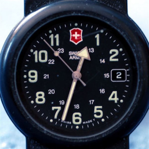 swiss-euro-watch